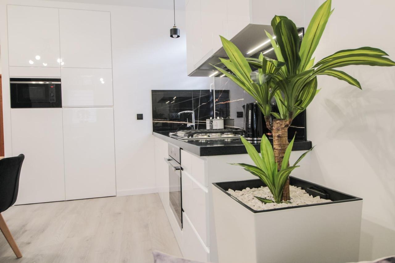 Apartament Zloty Jelen Крыница-Здруй Экстерьер фото